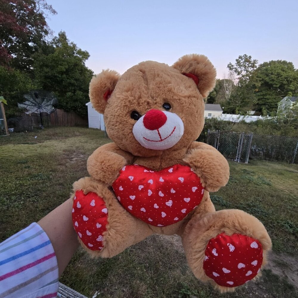 Valentine Plush Teddy Bear Holding Red Heart Pillow with Sweet Red Paws Cute.